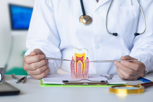 Best Emergency Tooth Extraction in Logan, UT